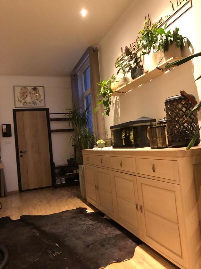 오스텐드 Studio Dream On Met Zonnige Terras 아파트 외부 사진